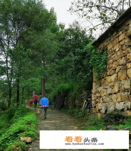 想出去旅游的但是没人陪怎么办啊 想出去旅游的但是没人陪怎么办啊