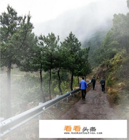 想出去旅游的但是没人陪怎么办啊 想出去旅游的但是没人陪怎么办啊