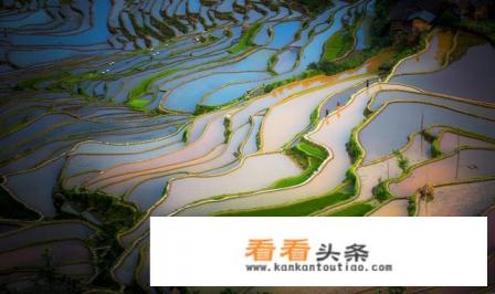 为什么有的人出去旅游要带两台单反甚至三台单反 为什么有的人出去旅游要带两台单反甚至三台单反