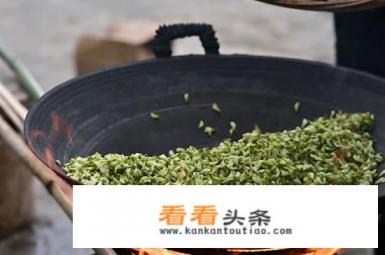 槐花茶正宗做法