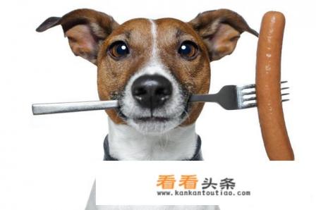 快速减肥的 *** 有哪些 快速减肥的 *** 有哪些