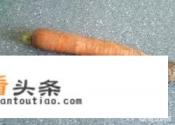 炖菜的做法 炖菜的做法