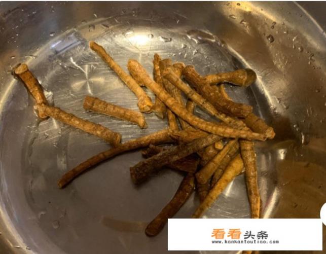 田七煲鸡汤的广东做法 田七煲鸡汤的广东做法