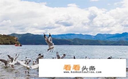 过年的时候适合去哪里旅游?要风景好的，人不多的