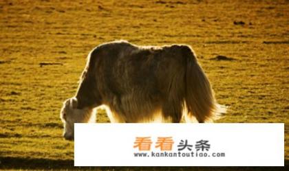 旅游八月下旬去新疆需带什么衣服 旅游八月下旬去新疆需带什么衣服