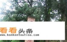 梓潼有哪些景点
