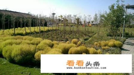 请问上海周边100公里左右自驾游有哪些景点推荐 请问上海周边100公里左右自驾游有哪些景点推荐