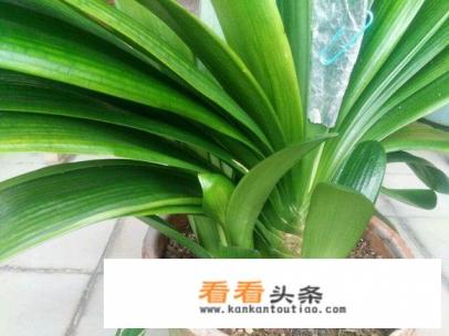 血脂高吃什么降得最快 血脂高吃什么降得最快