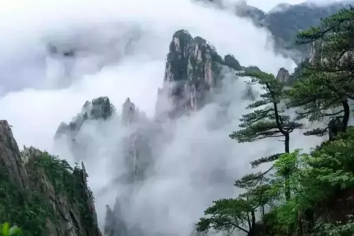 旅游者和游客有什么区别 旅游者和游客有什么区别