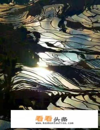 为引导文明旅游,导游领队应掌握哪些知识 为引导文明旅游,导游领队应掌握哪些知识