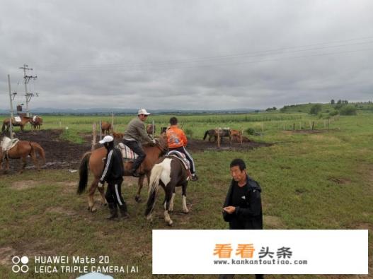 天津去塞罕坝自驾游最佳旅行方案 天津去塞罕坝自驾游最佳旅行方案