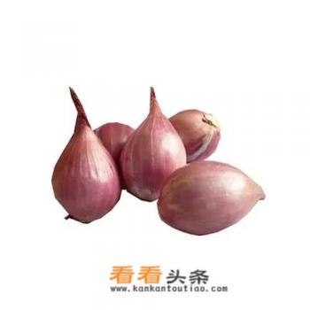 葱头种植 *** 葱头种植 ***
