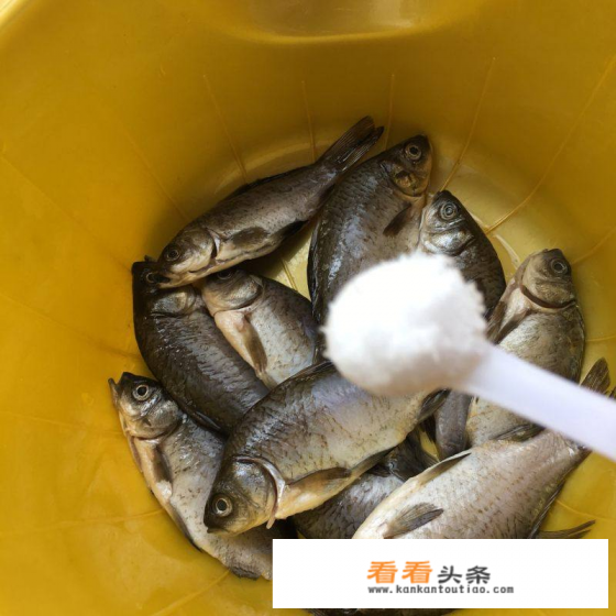 屈浩大师酥鲫鱼做法 屈浩大师酥鲫鱼做法