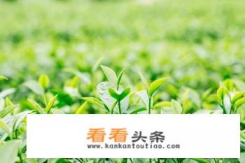 春节去哪个城市旅行比较好 春节去哪个城市旅行比较好