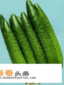 酱菜咸菜的家常做法 酱菜咸菜的家常做法