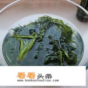 雪里红炖豆腐最正宗的做法 雪里红炖豆腐最正宗的做法