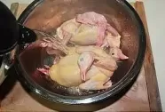 产妇鸽子汤下奶正确做法
