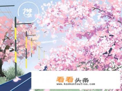 新津樱花景点推荐