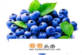 盆栽蓝莓的种植和养护 *** 盆栽蓝莓的种植和养护 ***
