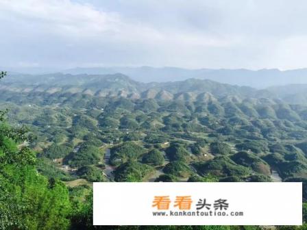 四川蜀南竹海有哪些旅游景点蜀南竹海怎么样好玩吗 四川蜀南竹海有哪些旅游景点蜀南竹海怎么样好玩吗