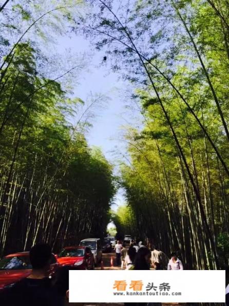 四川蜀南竹海有哪些旅游景点蜀南竹海怎么样好玩吗 四川蜀南竹海有哪些旅游景点蜀南竹海怎么样好玩吗