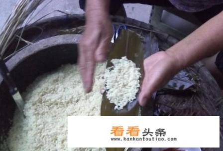 长方形4角粽子包法 长方形4角粽子包法