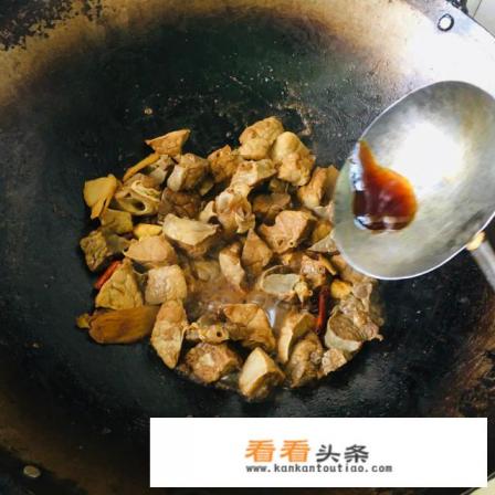 猪肺怎么炒好吃