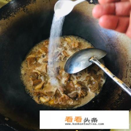 猪肺怎么炒好吃