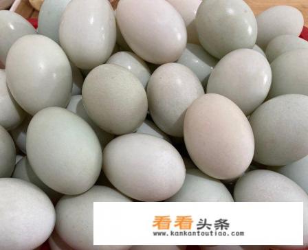 腌咸鸭蛋的 *** 腌咸鸭蛋的 ***