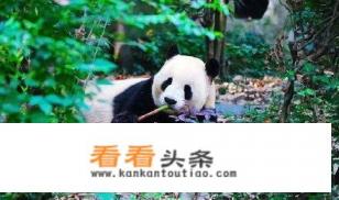 2-3天时间去成都周边旅游,哪里合适 2-3天时间去成都周边旅游,哪里合适