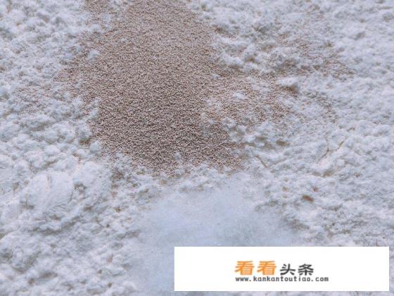 包子发面 *** 和步骤 包子发面 *** 和步骤