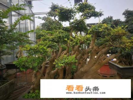 大家每年都会出去旅行一次吗