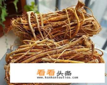 五指毛桃汤怎么搭配