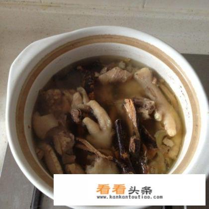 五指毛桃汤怎么搭配
