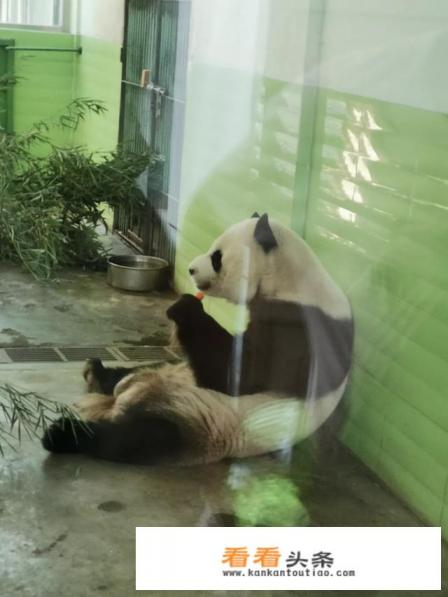 想带1岁半的宝宝出去游玩，哪里比较好