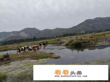 想带1岁半的宝宝出去游玩，哪里比较好