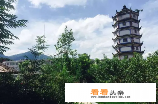 温州一日游自驾哪里玩 温州一日游自驾哪里玩