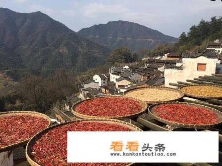 四五天短途旅游，去哪里好
