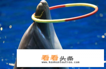 福州一日游必去的景点