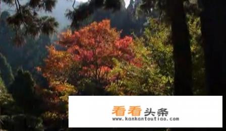九月份去哪里旅游比较好啊?大概5天左右时间,大家推荐一下吧 九月份去哪里旅游比较好啊?大概5天左右时间,大家推荐一下吧