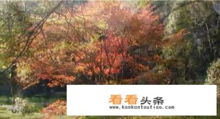九月份去哪里旅游比较好啊?大概5天左右时间,大家推荐一下吧 九月份去哪里旅游比较好啊?大概5天左右时间,大家推荐一下吧