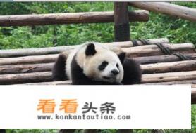 成都旅游景点大全 成都旅游景点大全