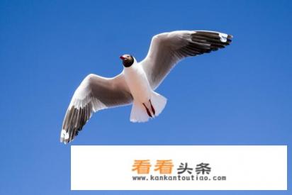 沈阳冬天周边自驾游一日游去哪好 沈阳冬天周边自驾游一日游去哪好