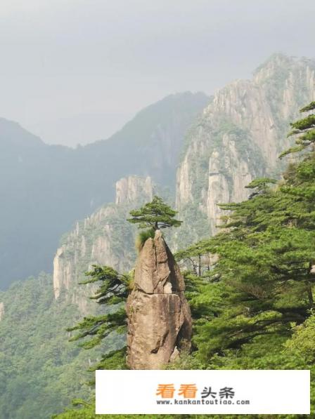 如果想出去旅游你会想到什么