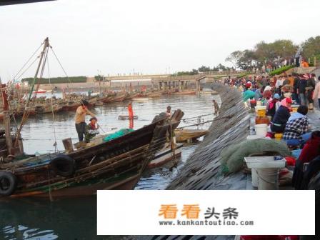山东省日照市是个怎么样的城市