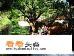 在深圳我要跟男朋友坐火车去云南旅游。大侠帮我安排下路线吧。细节