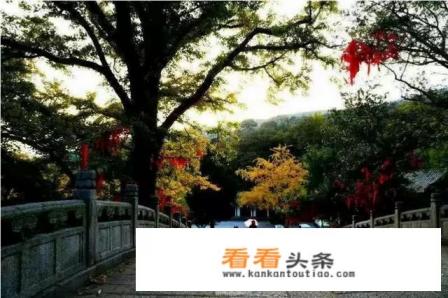 请问有什么工作可以到处旅游的 请问有什么工作可以到处旅游的
