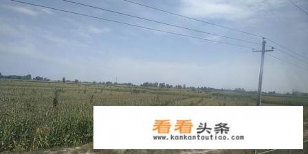 为了适应国内外体育旅游的发展，需要在哪些方面做好准备