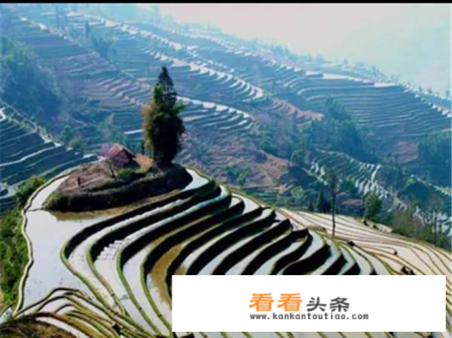 元阳梯田景区游玩顺序怎么安排好