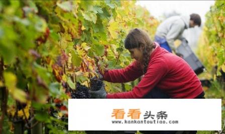 可以一边打工一边旅行的吗,可行吗